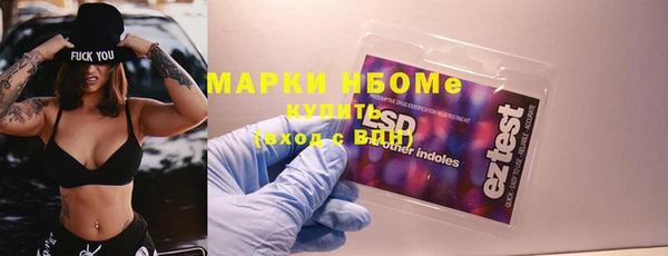 мдпв Богородицк