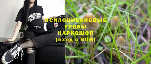 jwh Богородск