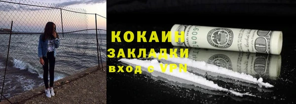 мдпв Богородицк