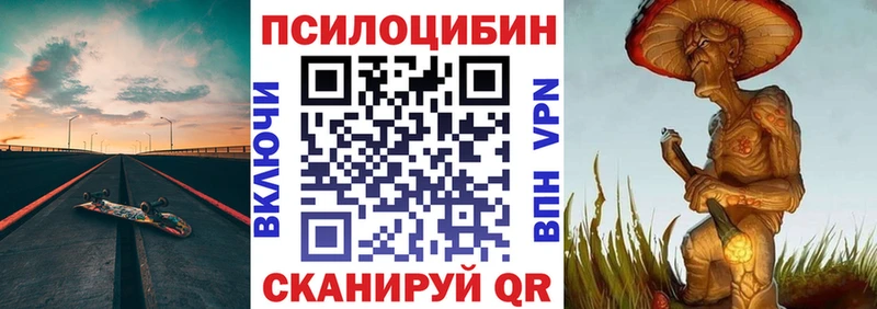 Псилоцибиновые грибы мицелий  наркошоп  Петропавловск-Камчатский 